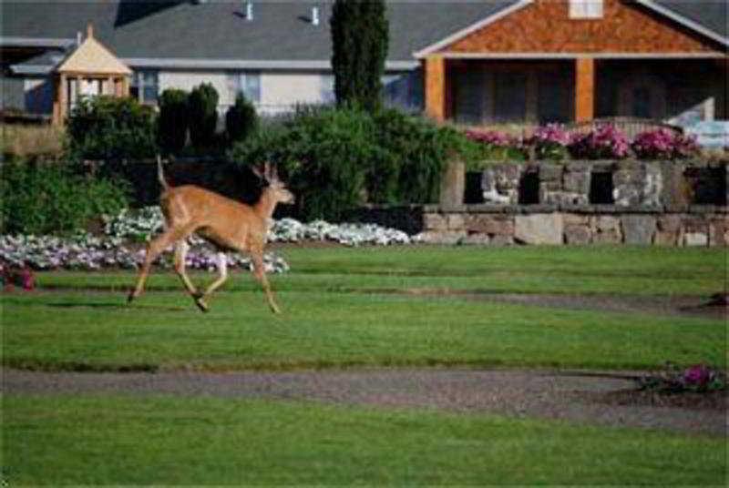 Oregon Garden Resort Silverton Kültér fotó